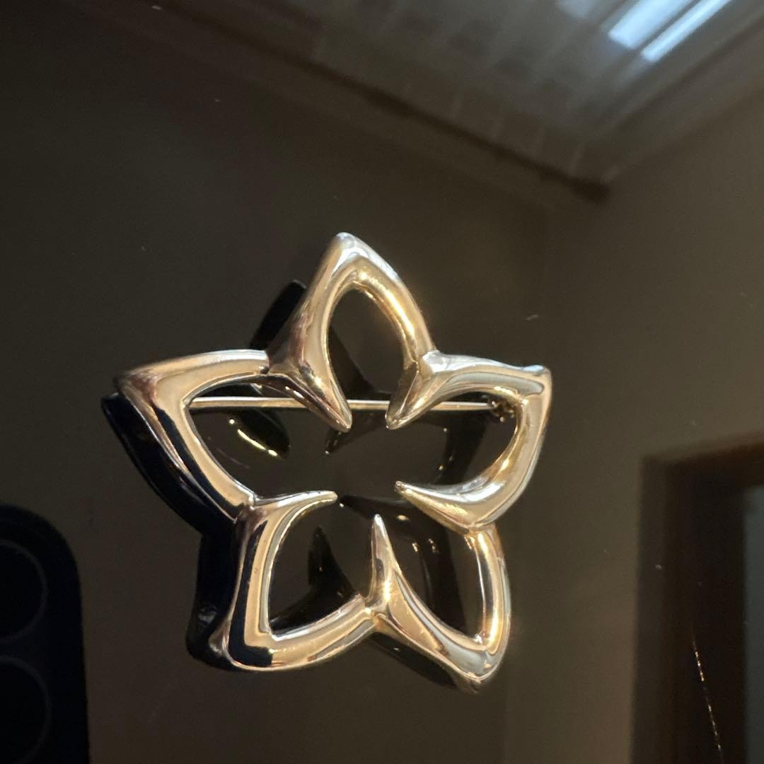 Tiffany & Co. Plumeria Flower Brooch Pin Sterling Silver SV925 No Box Rare