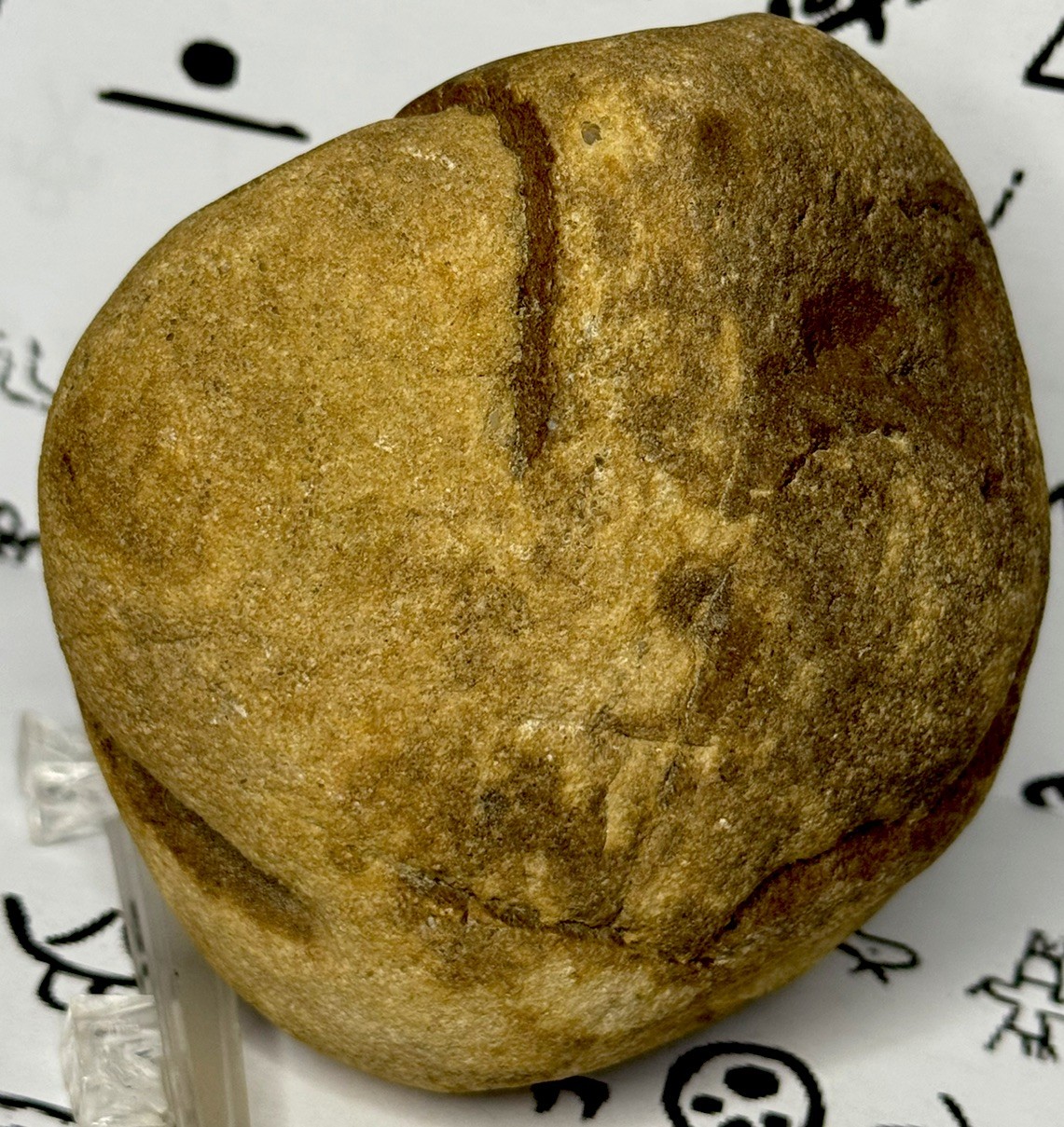 Native American Indian Authentic Artifact Stone Carved Effigy, 1 lb 10 oz • VA