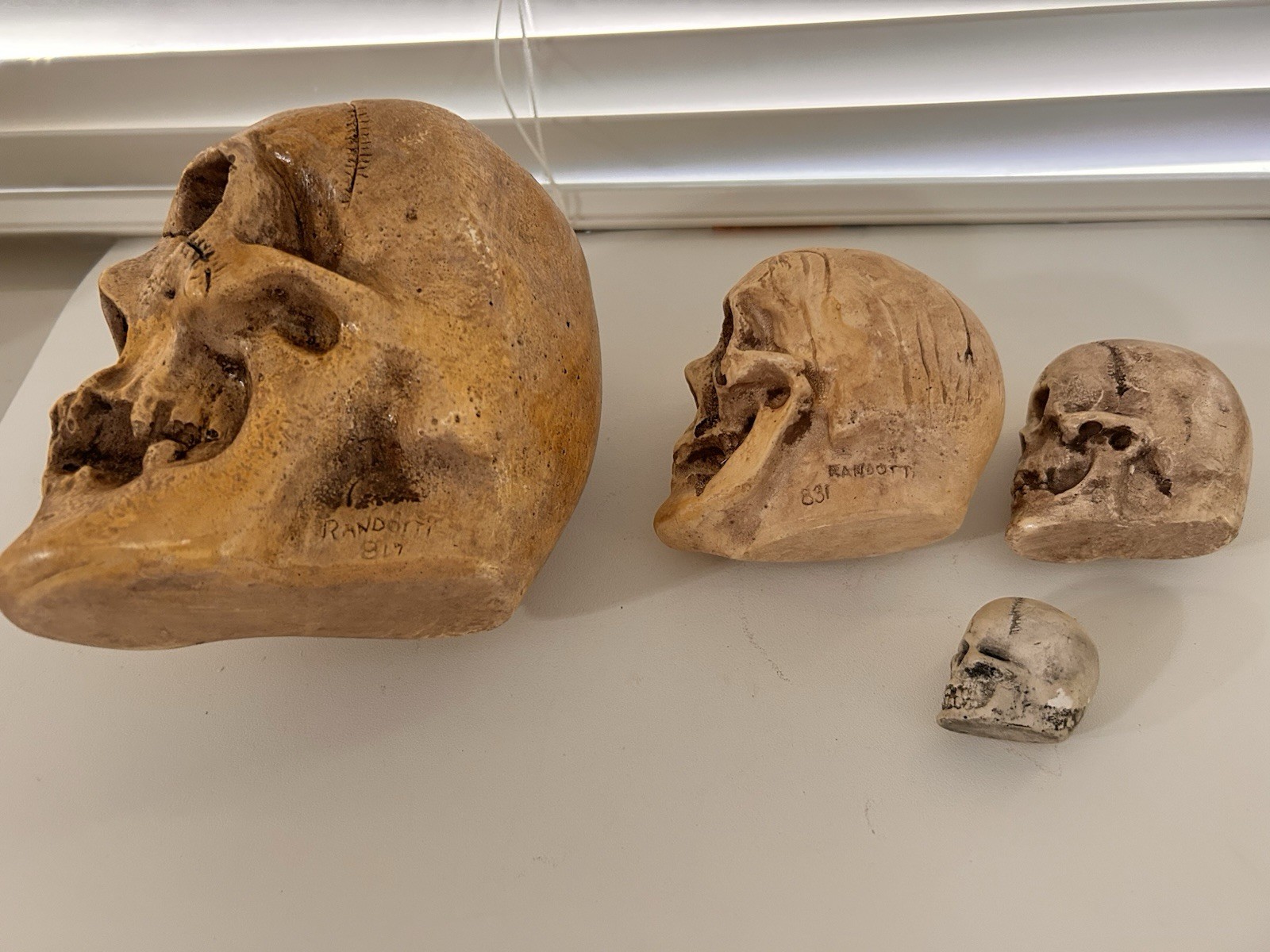 4 EA RANDOTTI ORIGINAL SKULLS LARGE, VOO DOO, PIXIE & SMALL SKULL ALL STILL GLOW