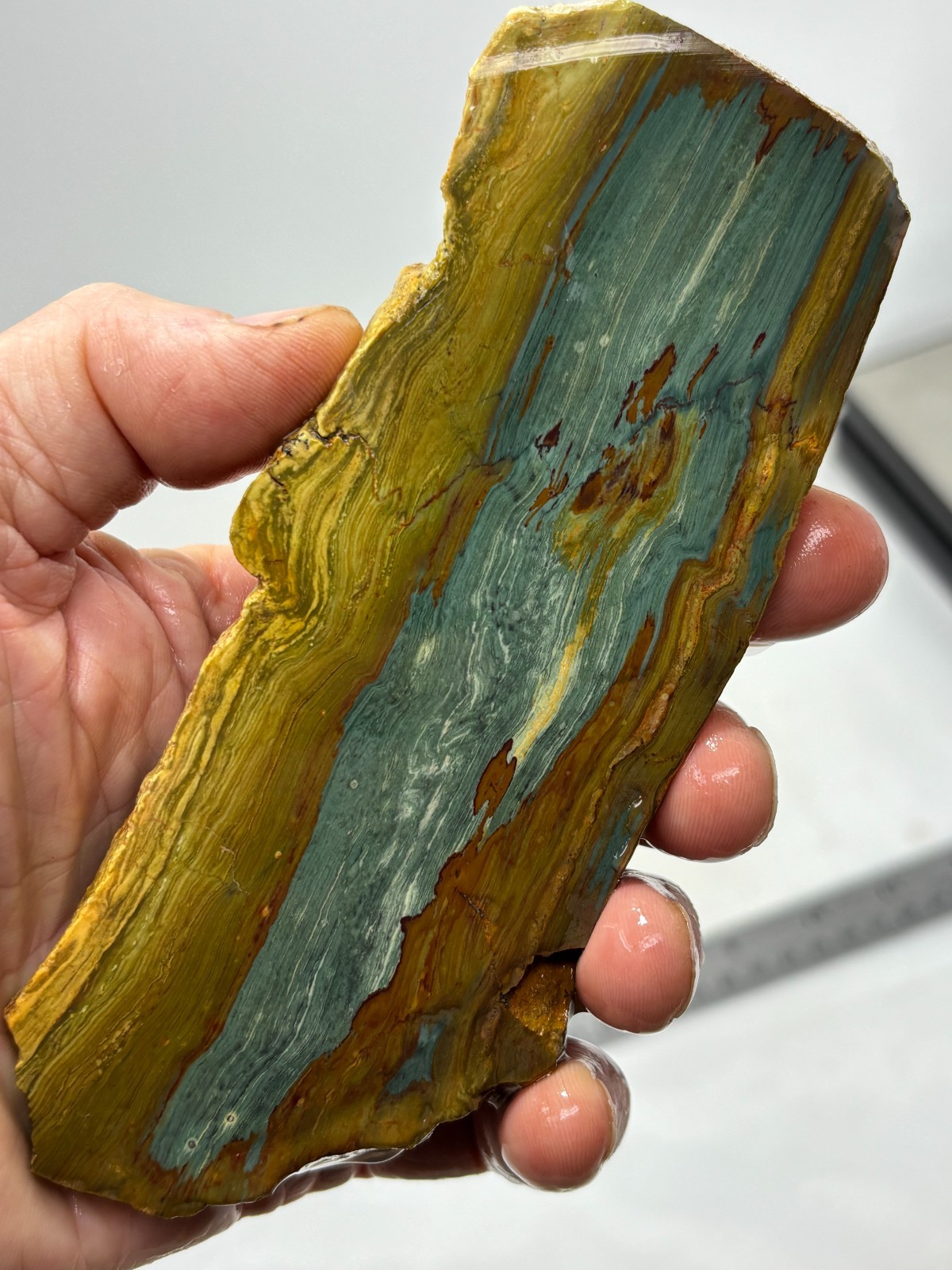 Gary Green Caldera Freedom Jasper Slab Cabbing Lapidary Combo Ship Avail