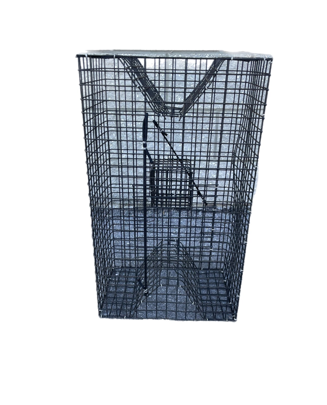 Joy Fish Pinfish Trap