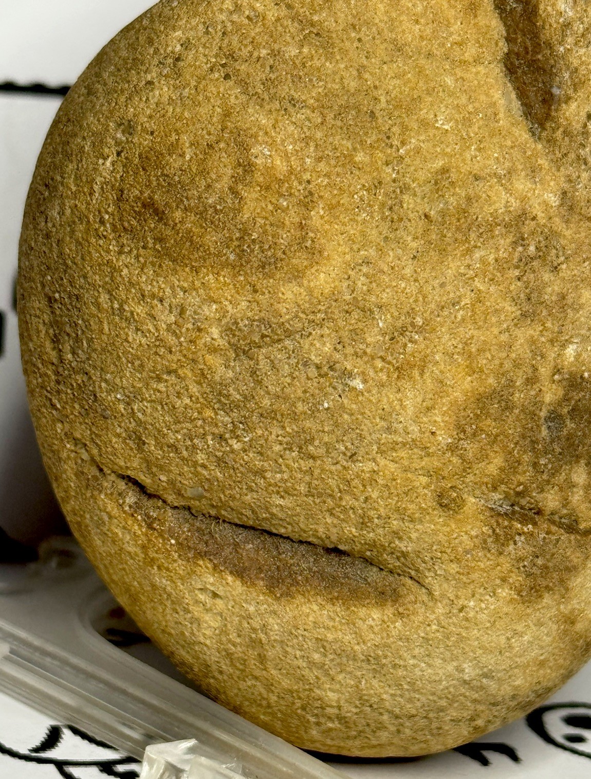 Native American Indian Authentic Artifact Stone Carved Effigy, 1 lb 10 oz • VA