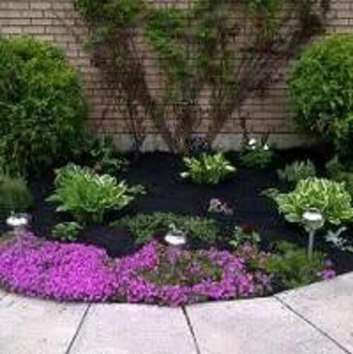 12 Liters Black 3/8" Lava Rock for Bonsai Succulents Cactus soil mixes FAST SHIP