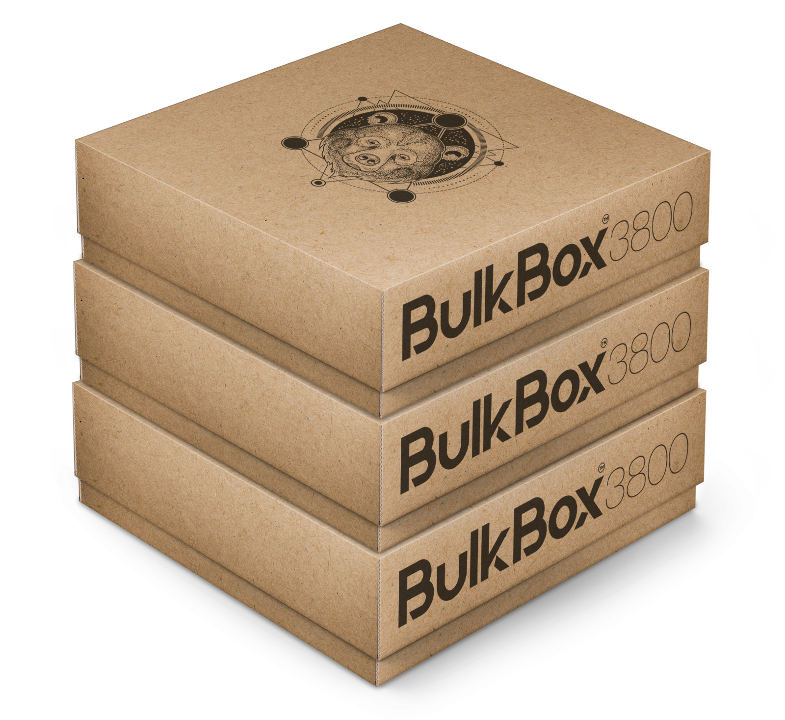 TCG bulk storage box for ANY trading card game ECO BulkBox Set of 3 x 3800 cards