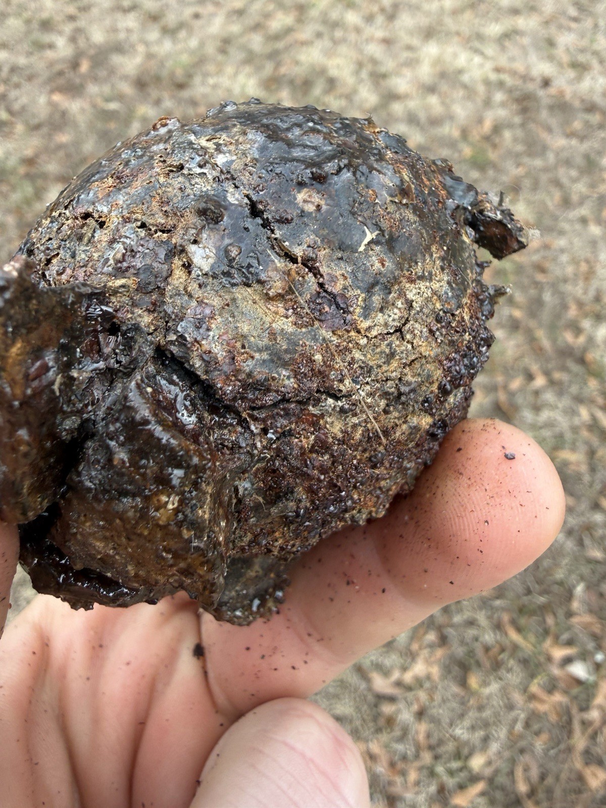 1715 Treasure Fleet Shipwreck Recovered Small Iron Cannonball - Encrusted