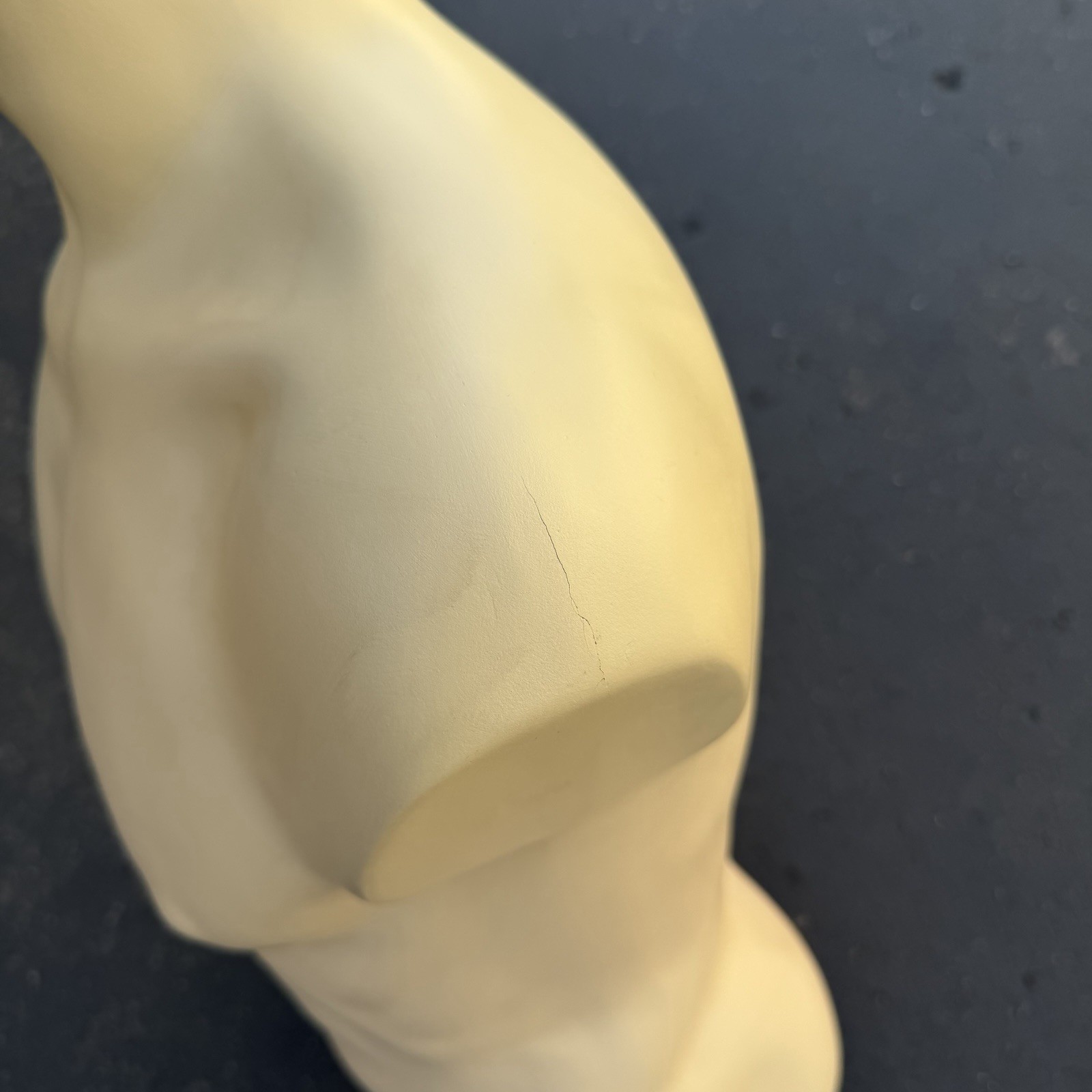 Lady Lulu Vintage Mannequin Torso Head Male Man Muscle Silver Spike Hair