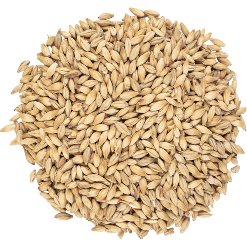 Brewers Malt 2-Row Briess 10 lb Homebrewing Beer Making Vacuum Packed Freshness