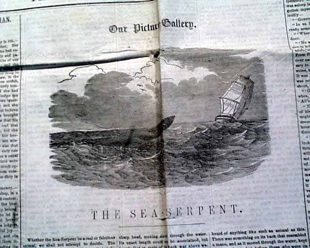 Early SEA SERPENT Monster Creature HMS Plumper Sighting w/ Print 1851 Newspaper