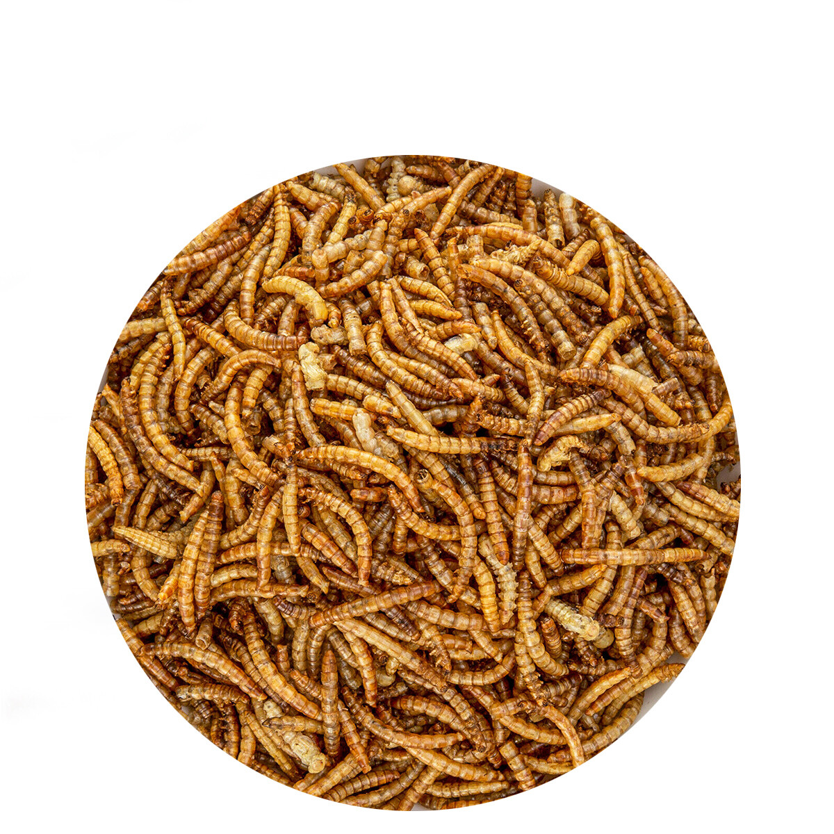 LOT Bulk Dried Mealworms Non-GMO for Wild Birds Food Blue Bird Chicken Hen Treat