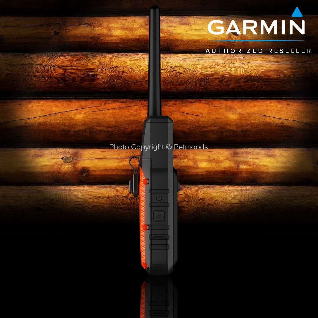 Garmin Alpha 10 Bundle TT15X Dog Device GPS Collar Tracking and Training