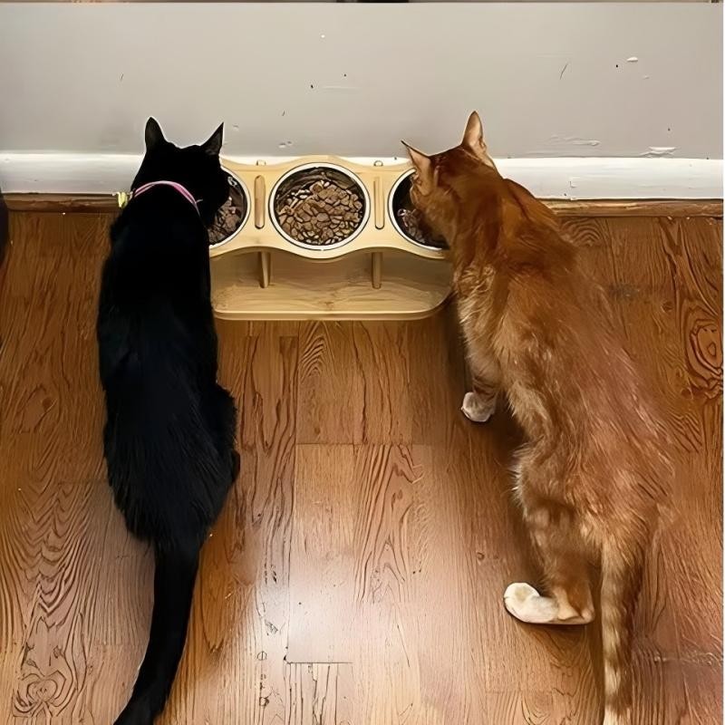 Elevated Cat Bowls Raised Food Bowls 15° Tilted Pet Bowls for Cats and Small Dog