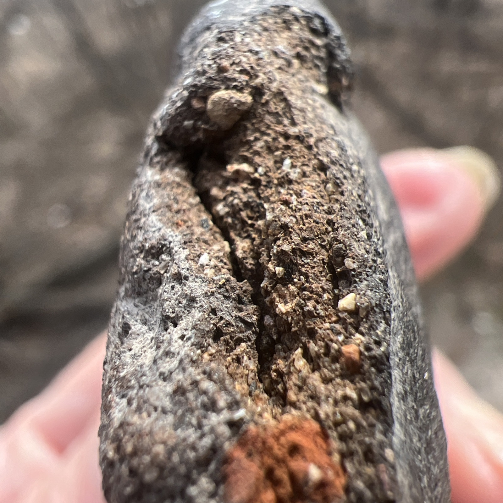 Carved STONE HEAD/EFFIGY May Be Mayan