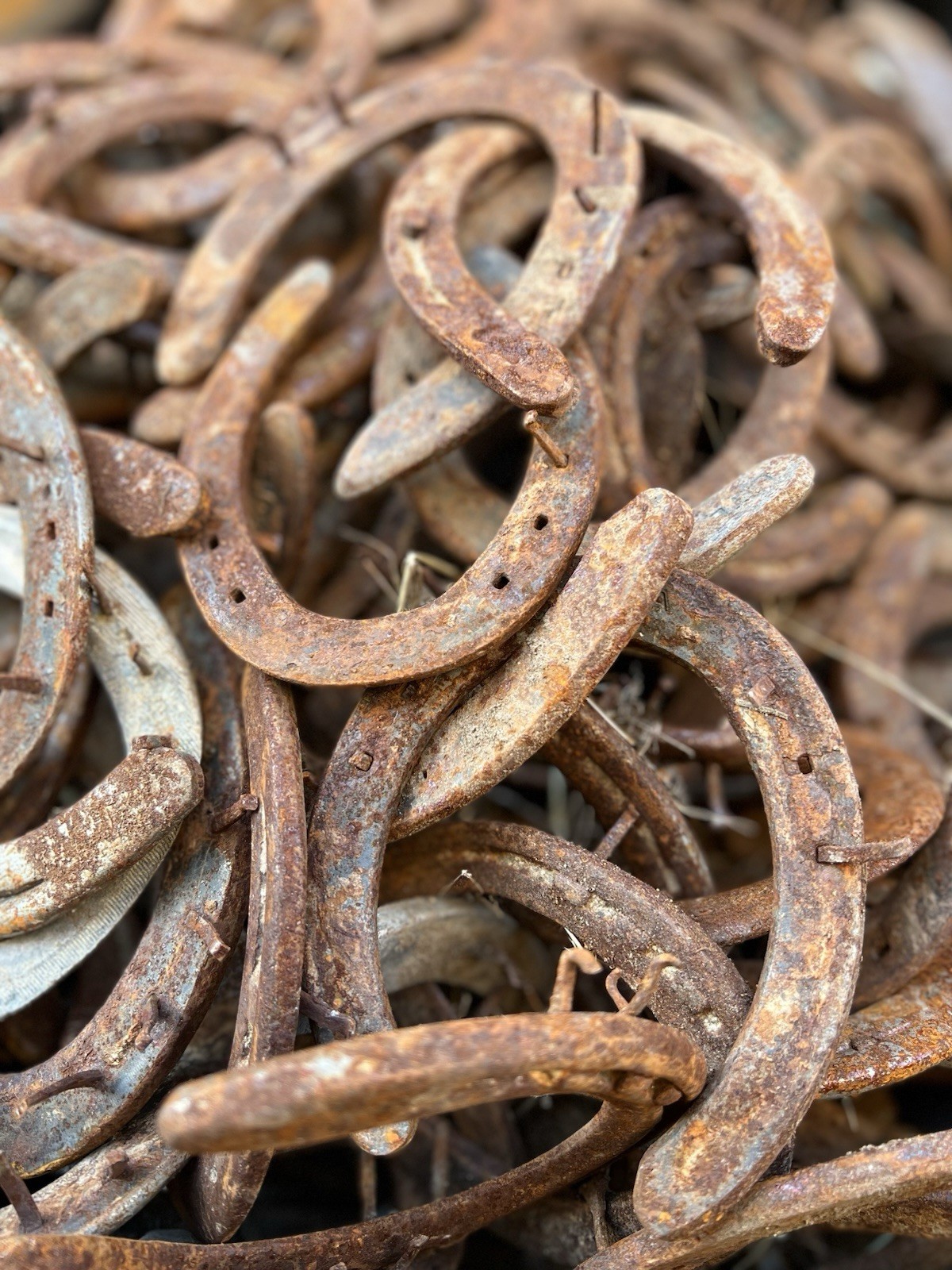 50 Used Steel Nevada Rusty Horseshoes W/Nails Lot Art Decor Rustic Western Weld