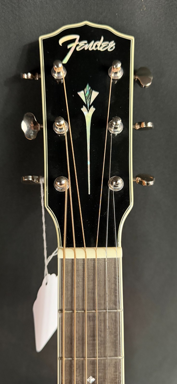 Fender PS-220E Paramount Parlor Acoustic-Electric Guitar Gloss Natural (742)