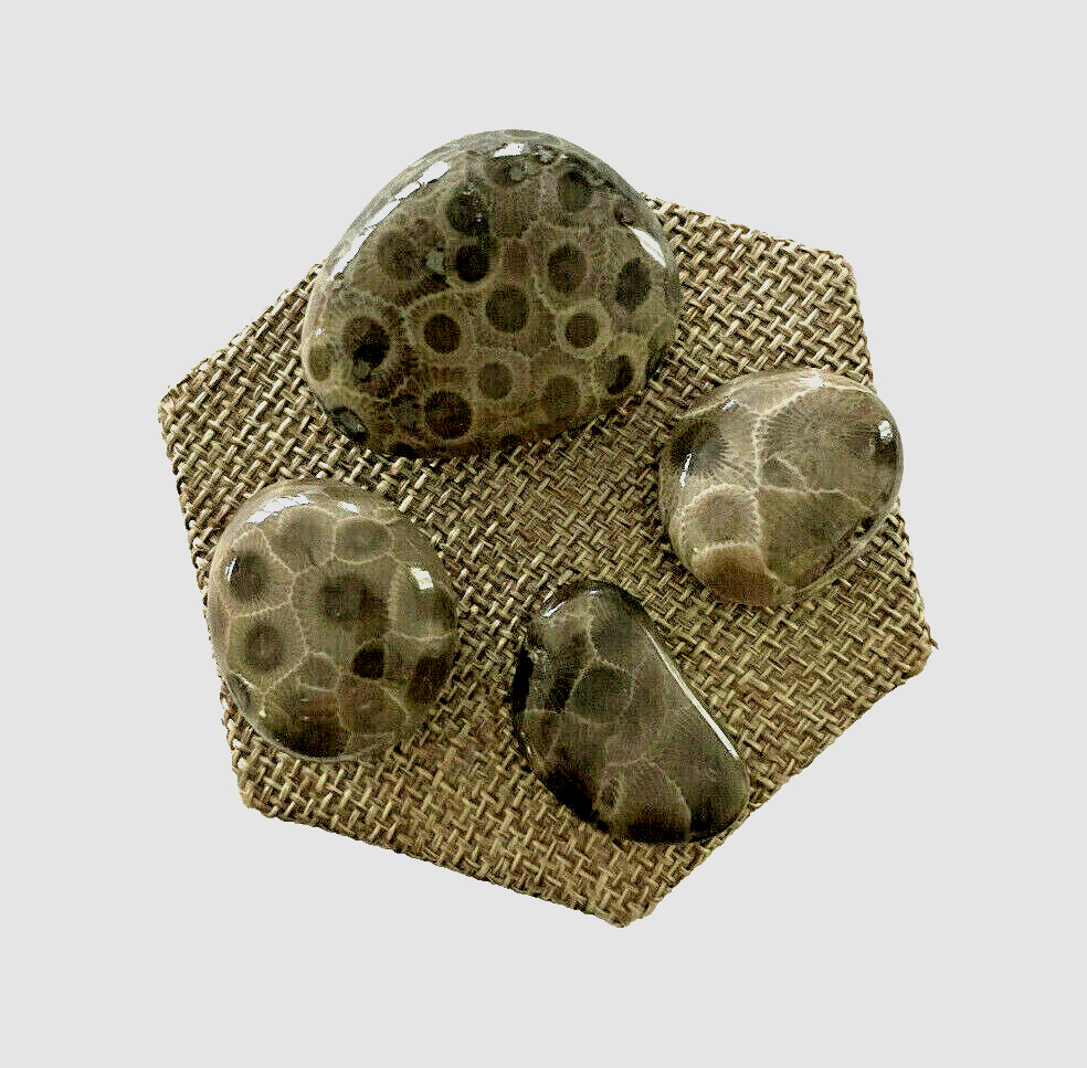 ***GREAT PRICE*** A SET OF 4 PETOSKEY STONES - BELOW RETAIL PLUS FREE SHIPPING!