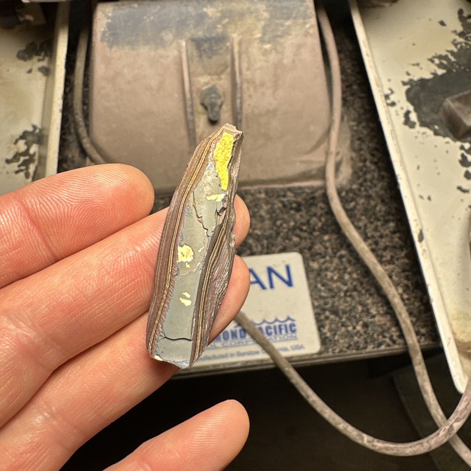 Corvette Fordite specimen from Bowlinggreen Kentucky early 2000s