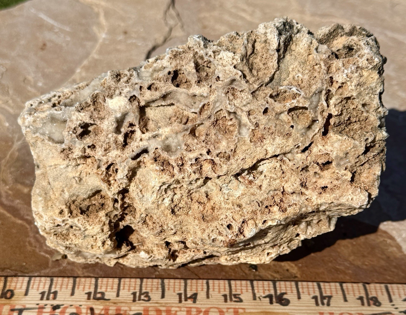 GORGEOUS* 7 Lb Crystallized Fossil Coral Reef Rock~Brilliant Druzy Sparkle