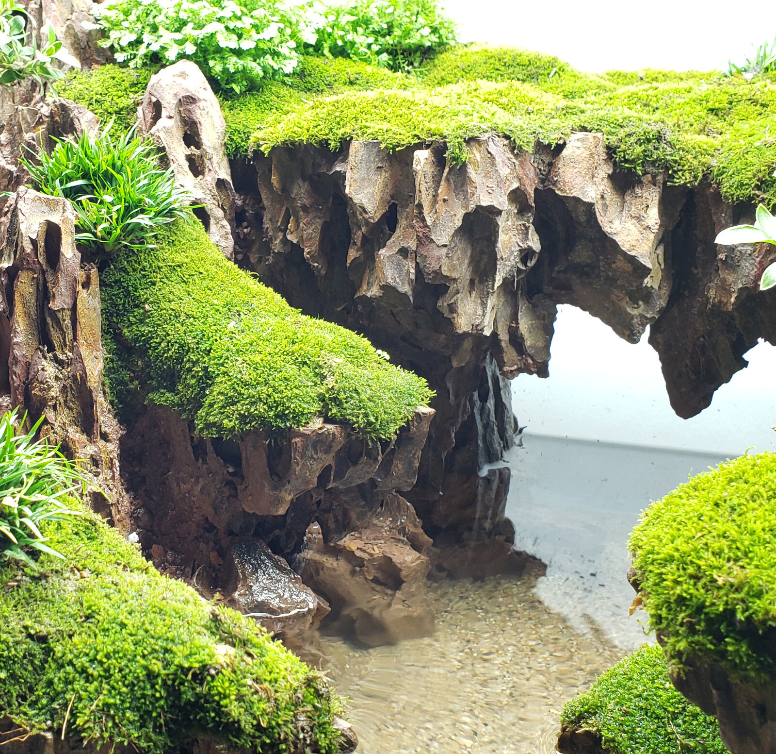 Dragon Stone (Ohko Stone) / Planted Aquarium / Decoration / Hardscape 10 Lbs Box