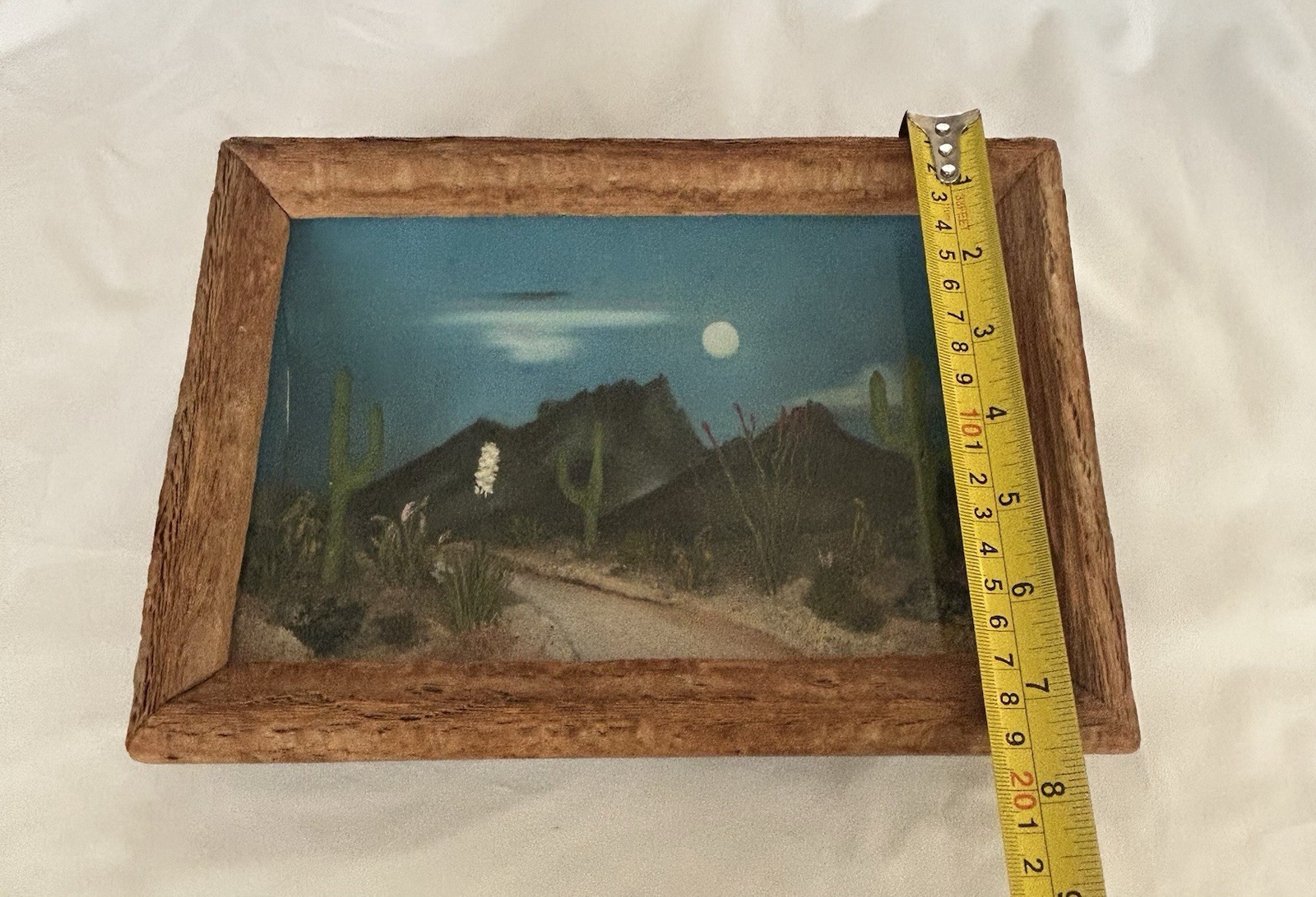 VTG Landscape View Co. Tucson Arizona 3-D Desert Scene Diorama 10” x 7.5”