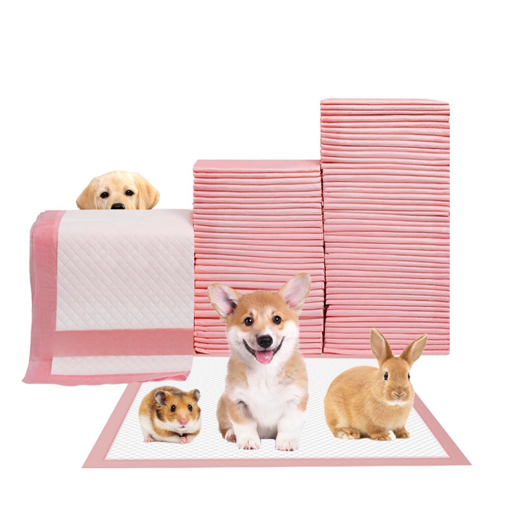 100 Pet Pads for Dogs Ultra-Absorbent Puppy Training Underpad Scented Pink Small
