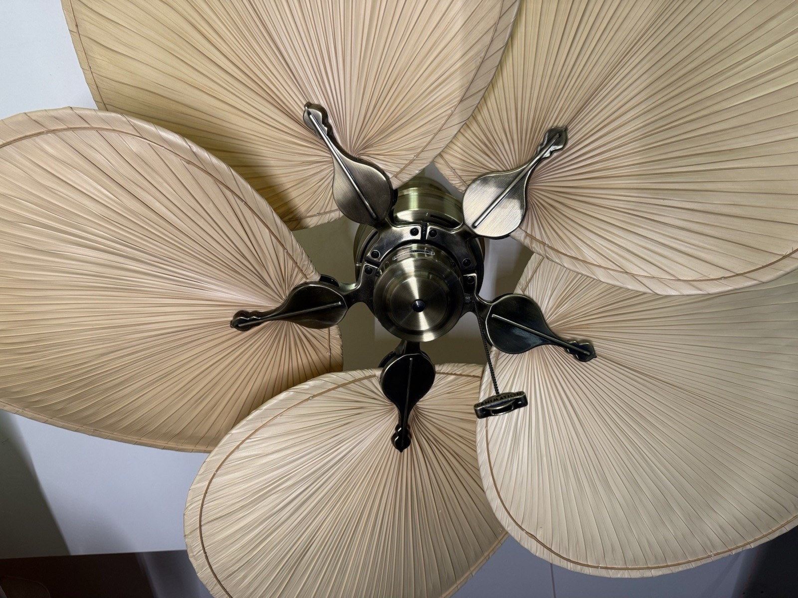 Fanimation Islander Natural Palm Blade 52” Ceiling Fan