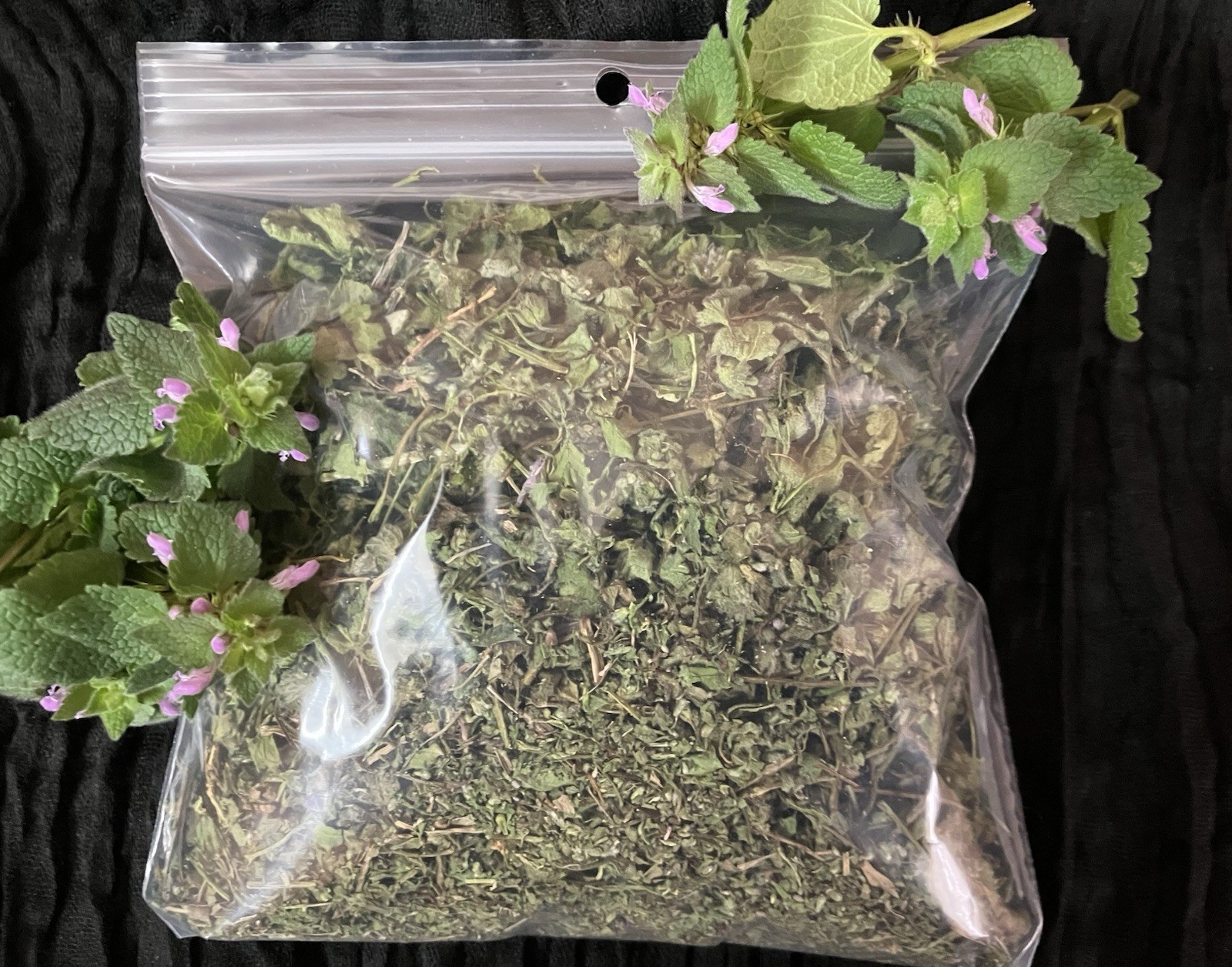 Purple Dead Nettle Dried Herb, Protection, Grounding, Abundance, Folk Magic