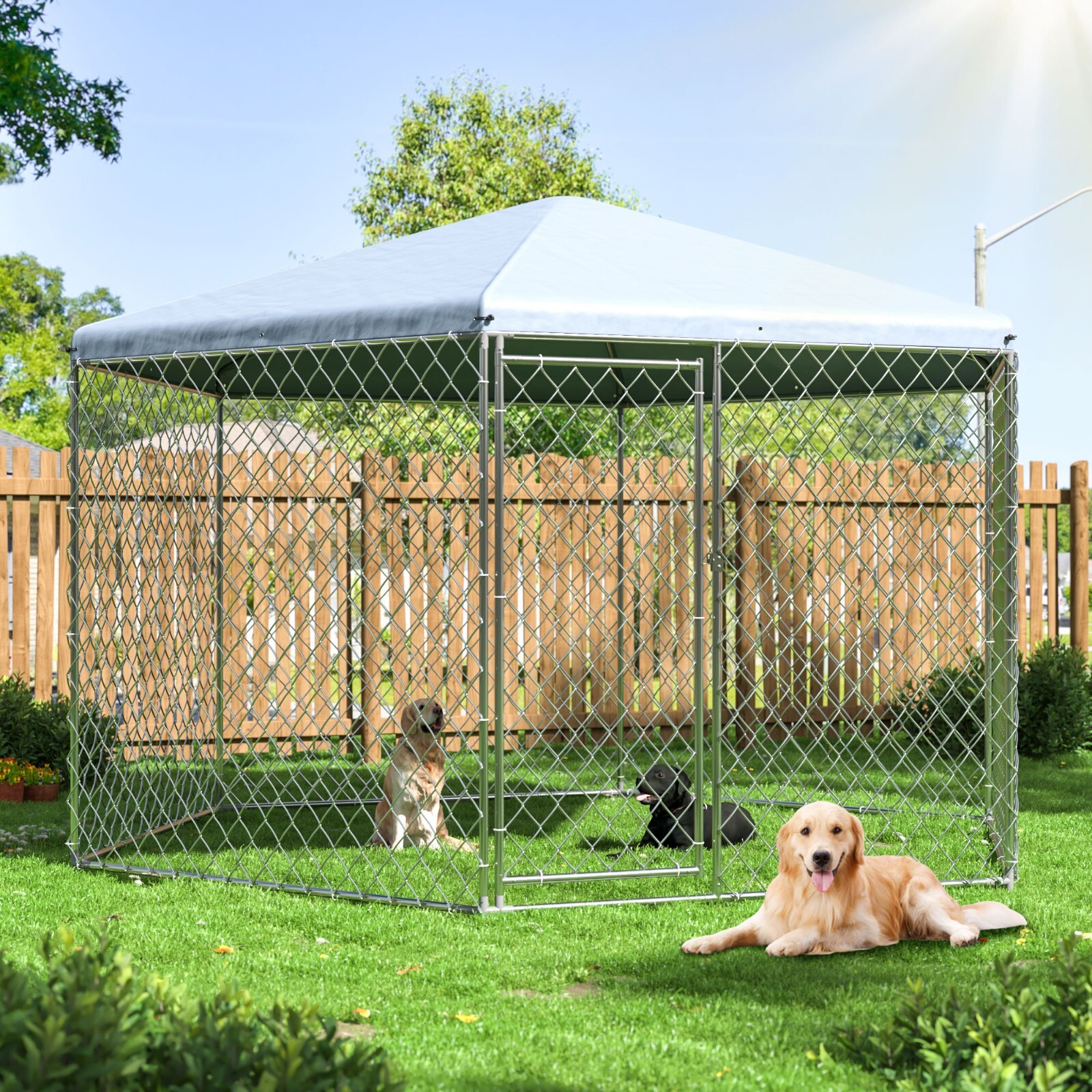Heavy Duty Large Dog Kennel Outside with Roof Outdoor Dog Kennel with Metal Gate