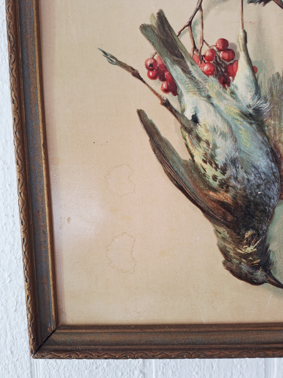 Game Birds Victorian Quail Cranberries Antique Embossed Chromolithograph