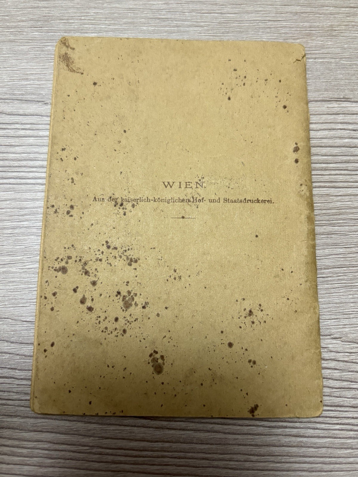 Antique Vintage Expired Austrian Hungarian Empire Documents 1910s Expired Visas