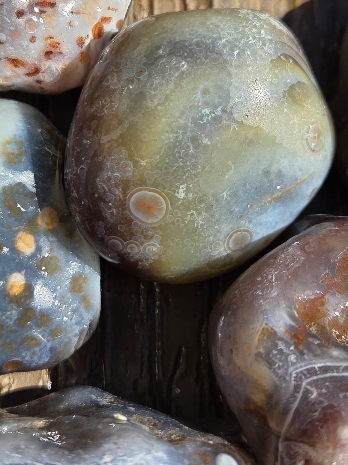 Botswana Agate Selects - DOTS AND SPOTS - Rough, Natural, Not Polished A+ Grade