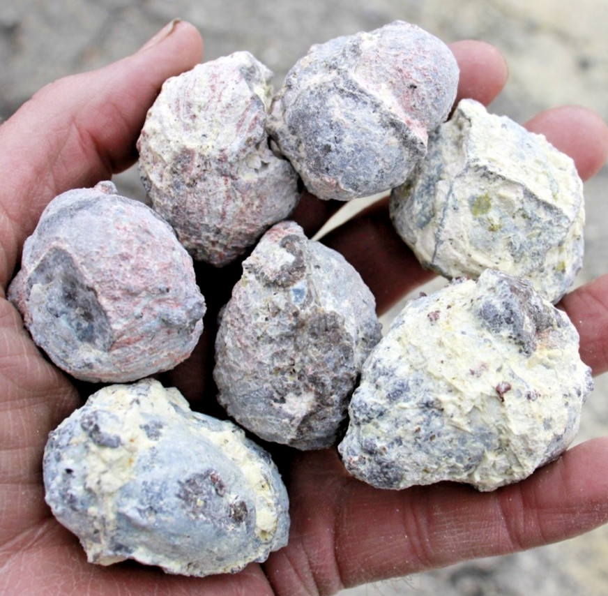 One Pound, 5-7 Whole Dugway Geodes • 1.5" - 2.0" diam.