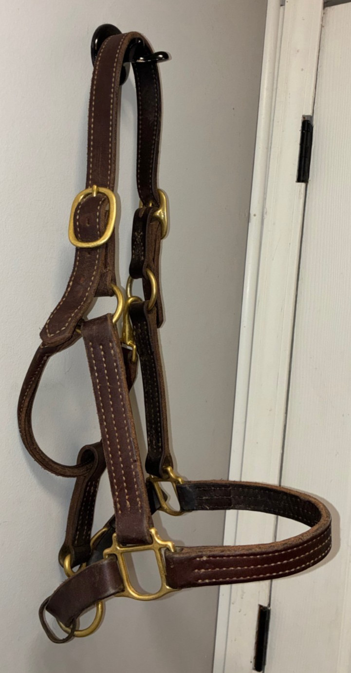 WEAVER LEATHER THICK TRIPLE STITCHED HORSE SIZE HALTER