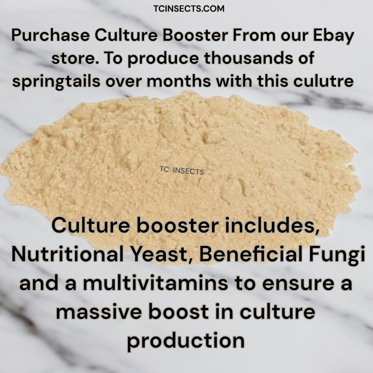 Springtails | Coco Temperate 8oz | Live Arrival & FREE SHIPPING NATIONWIDE!