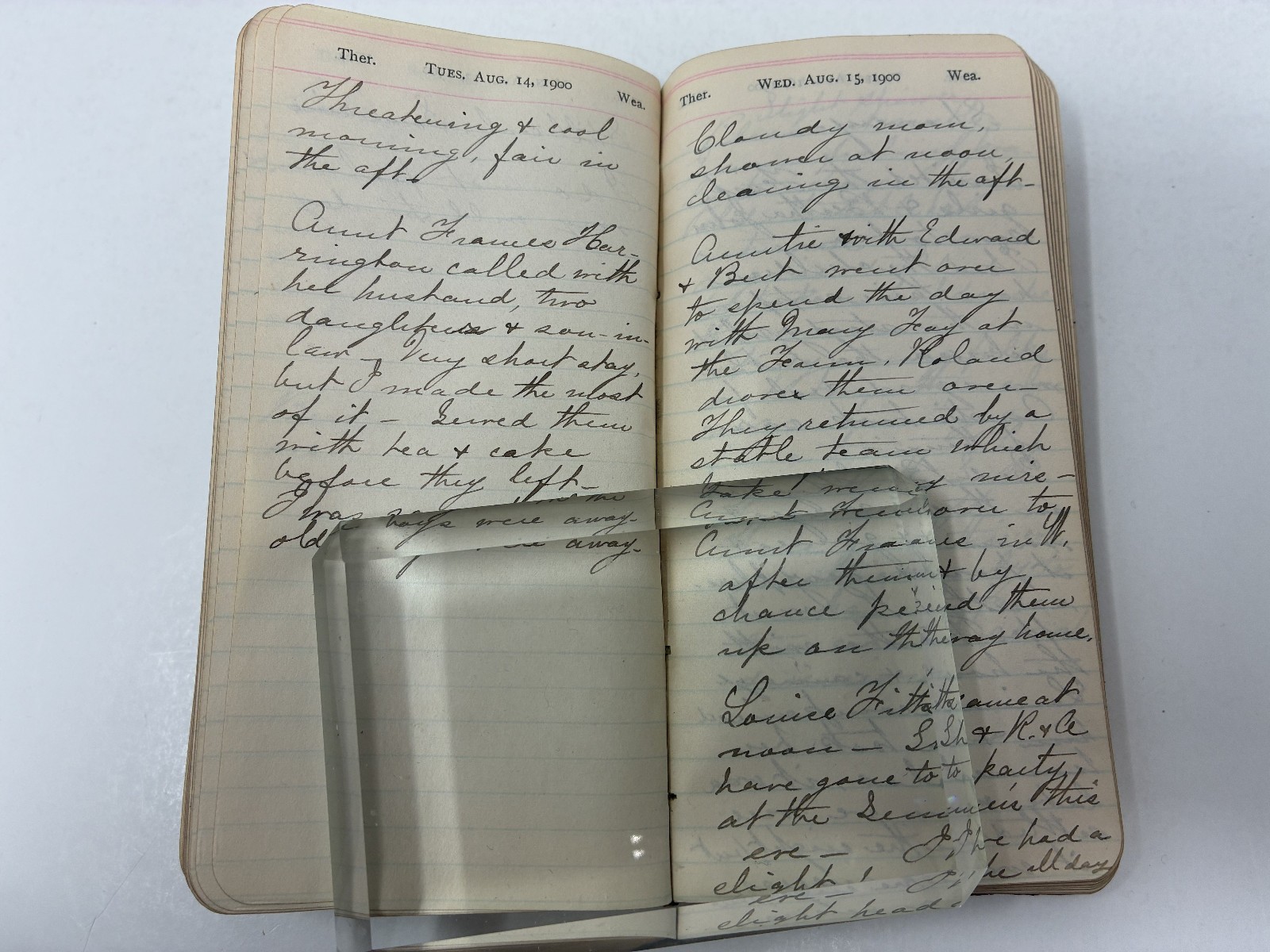 1900 Victorian Woman Wife & Mother Handwritten Diary with Her Life Memorial!