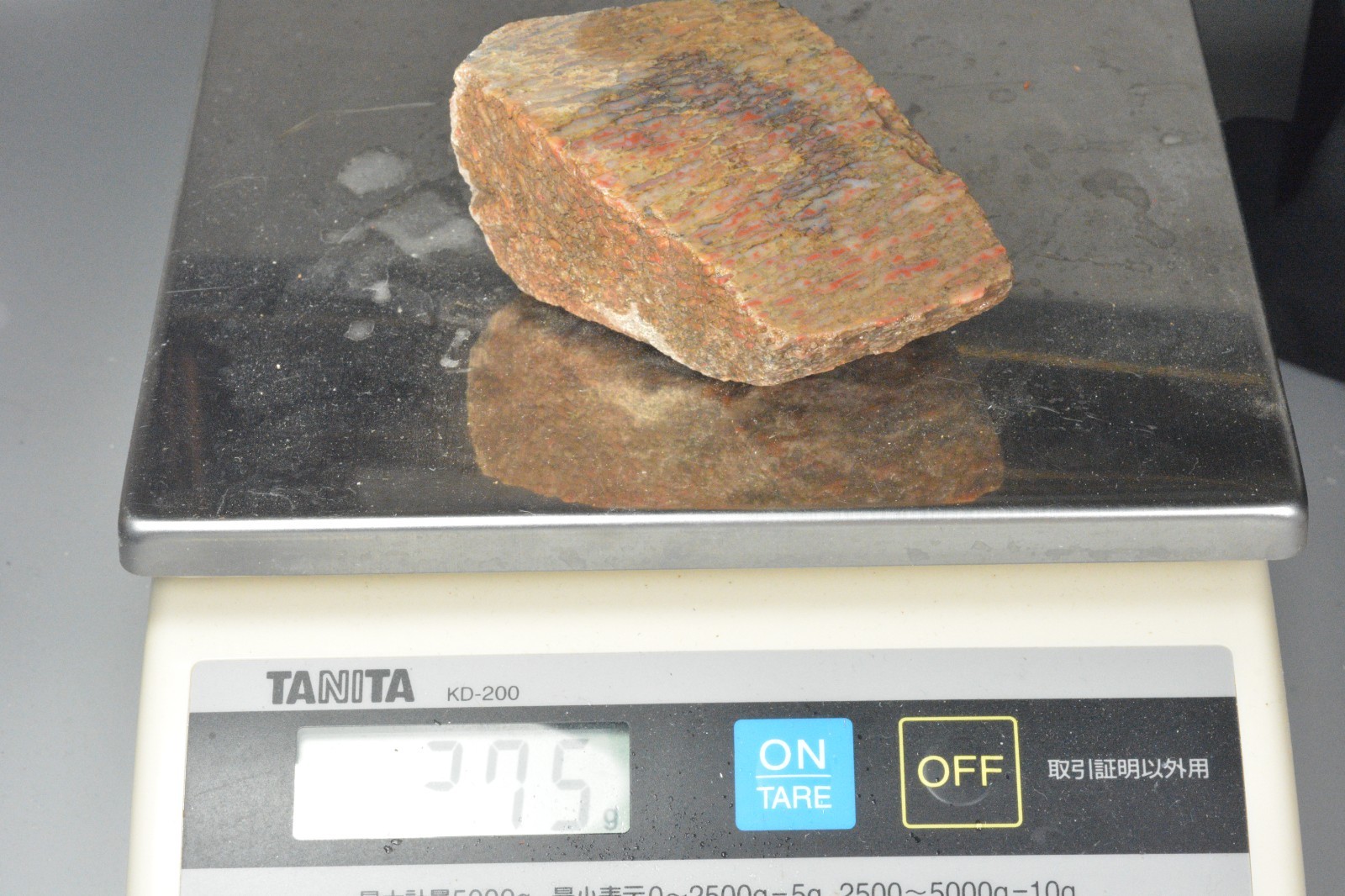 Agatized Dinosaur Bone, Utah, EX Shirley Collection, 275 grams