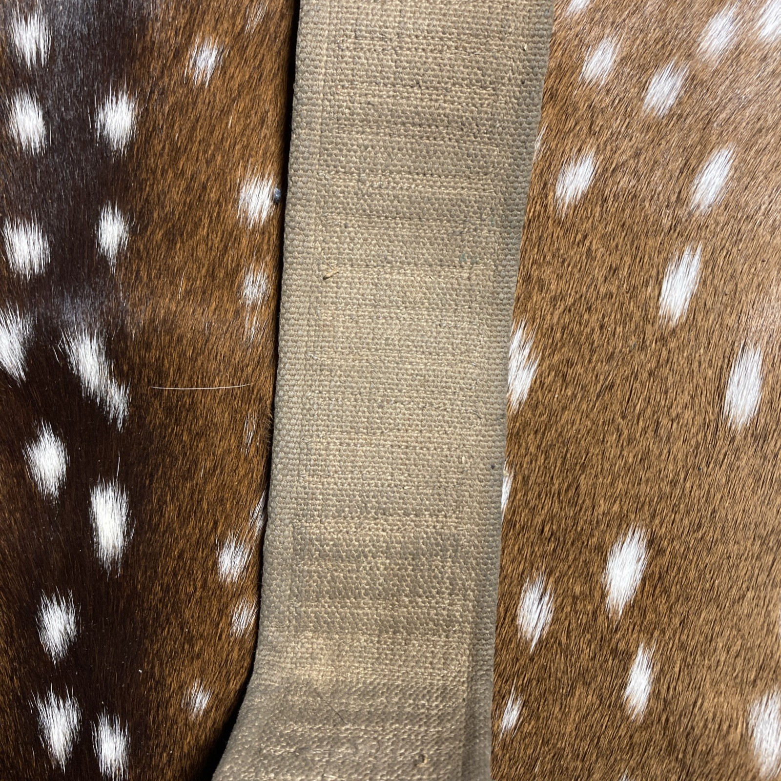 SPANISH AMERICAN WAR U.S. KRAG AMMO CANVAS BELT 45 SLOTS 30-40 Krag ?