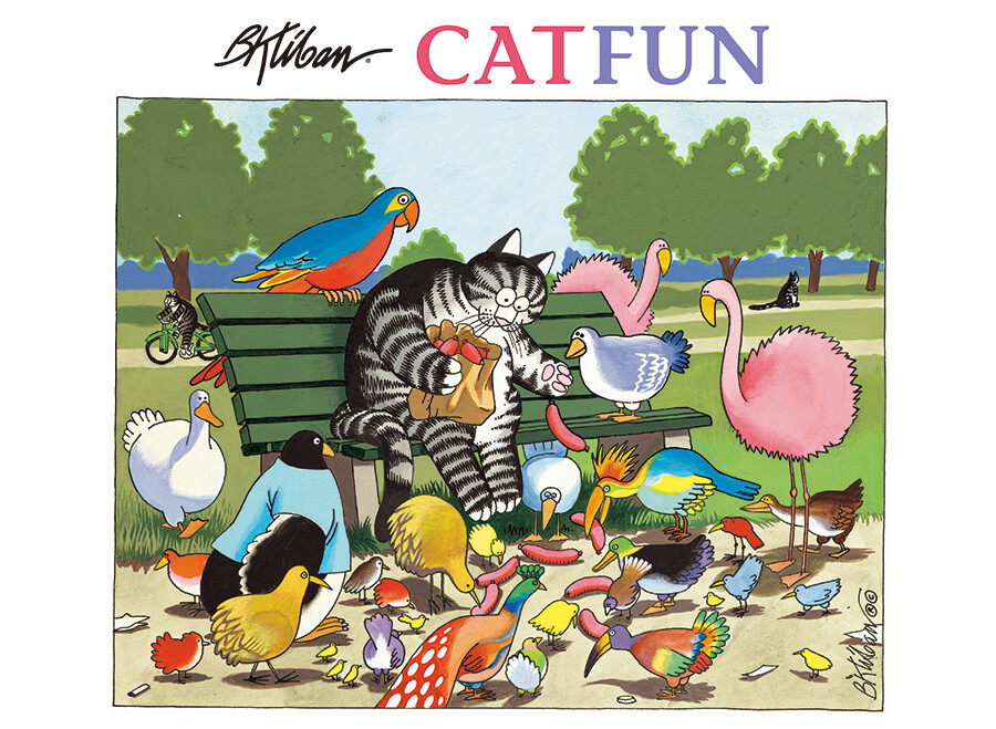 B. Kliban: CatFun - Boxed Notecards - 20 cards and envelopes