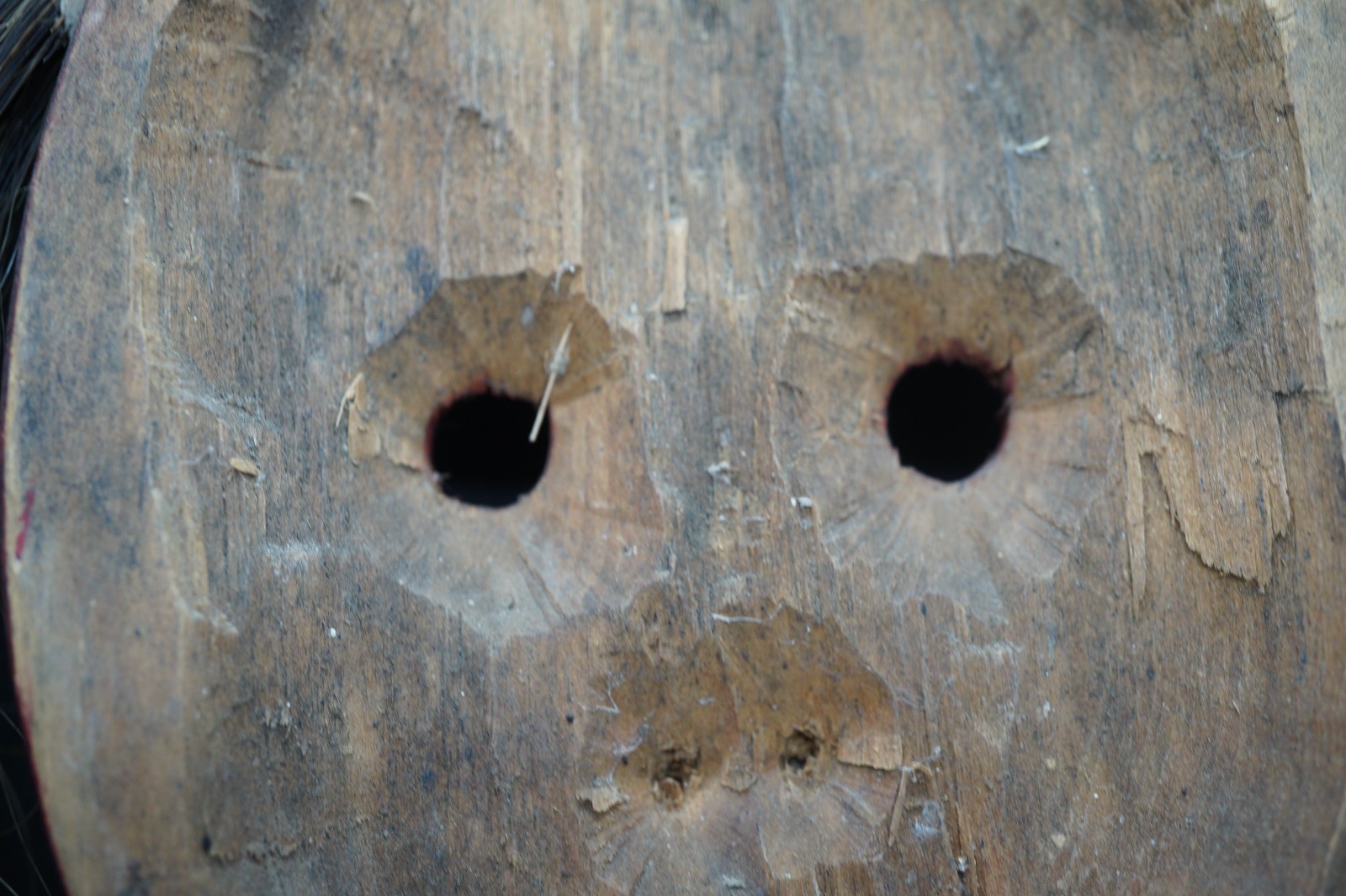 215# Antique, Sacred, False Face Iroquois Mask – Ritually Used