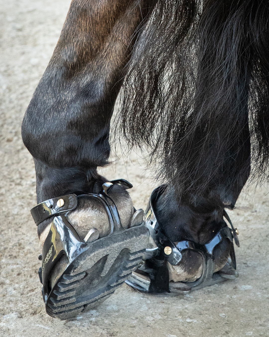 Scoot Boots (Classic): Pair Size 2 Slim - New/Unused