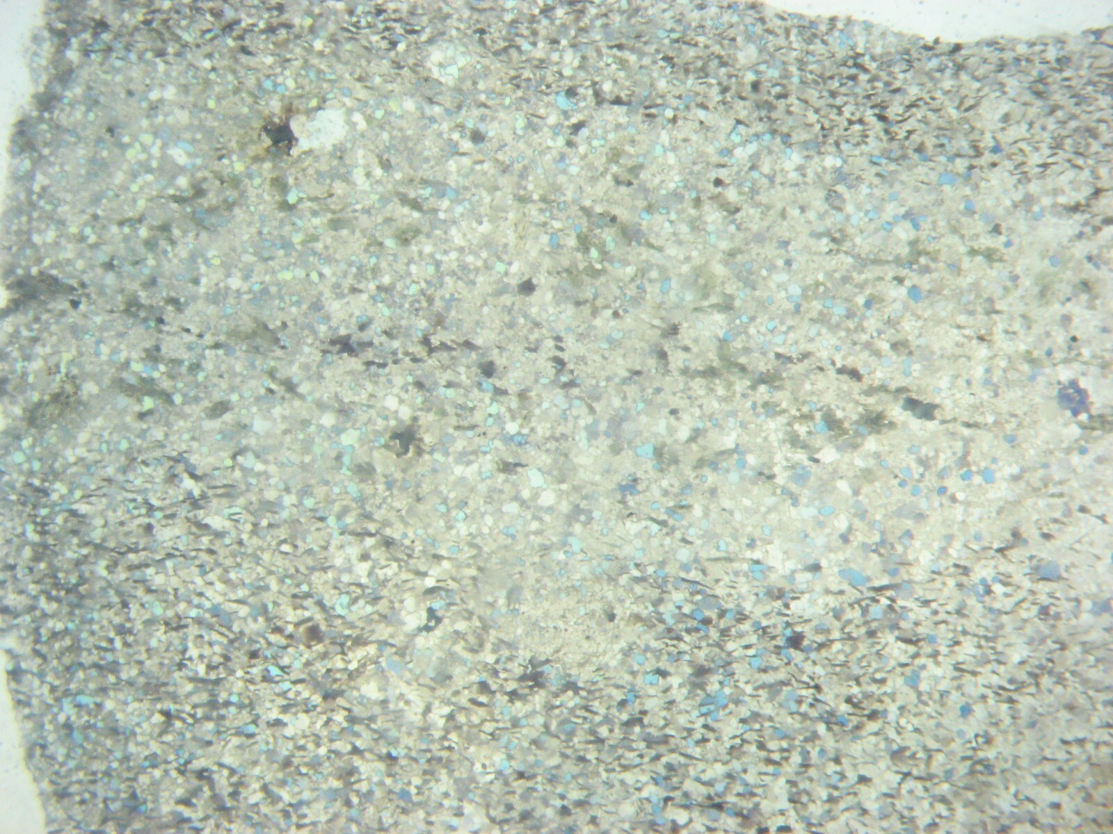 Geological Formation 25 Thin Section Slides Precambrian to Miocene Fossils Rocks