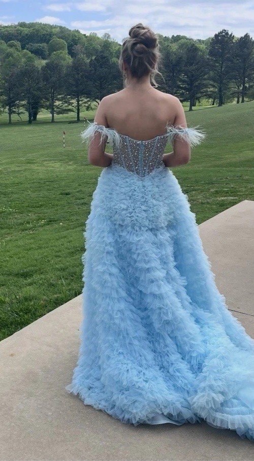 Sherry Hill Gown 55387 Tulle, Feathers Size 00