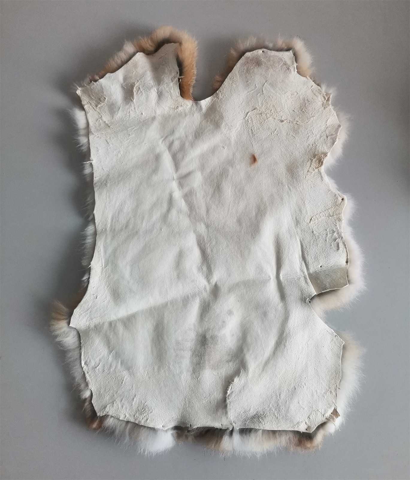 4x High Quality Tanned Rabbit Skin Pelt Animal Fur Hide Craft Grade Grass Yellow