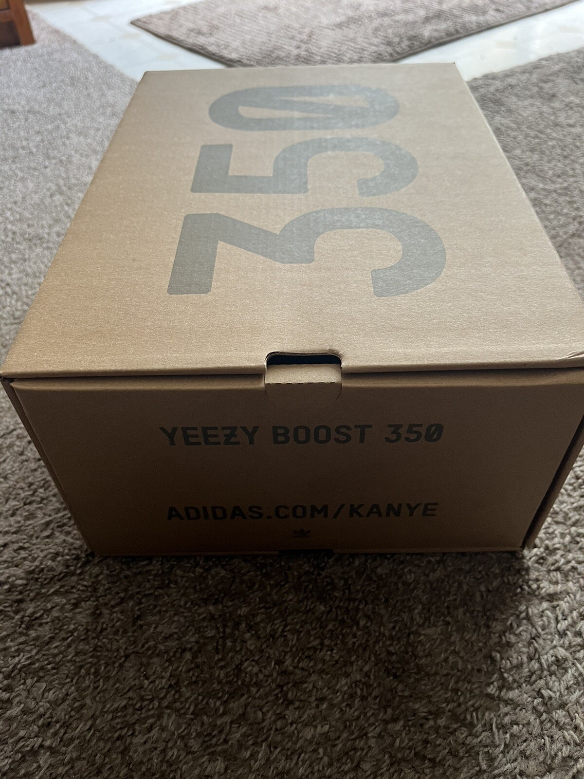 Adidas Yeezy Boost 350 Empty Shoe Box Only Plain No Size Label NEW orig Packing