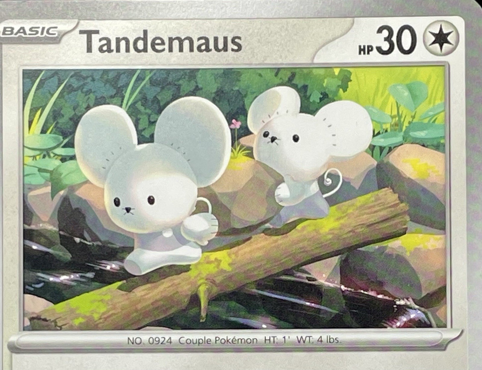 7x Tandemaus Lot - All 7 Scarlet & Violet Commons [Unique Artwork] Pokemon NM/M