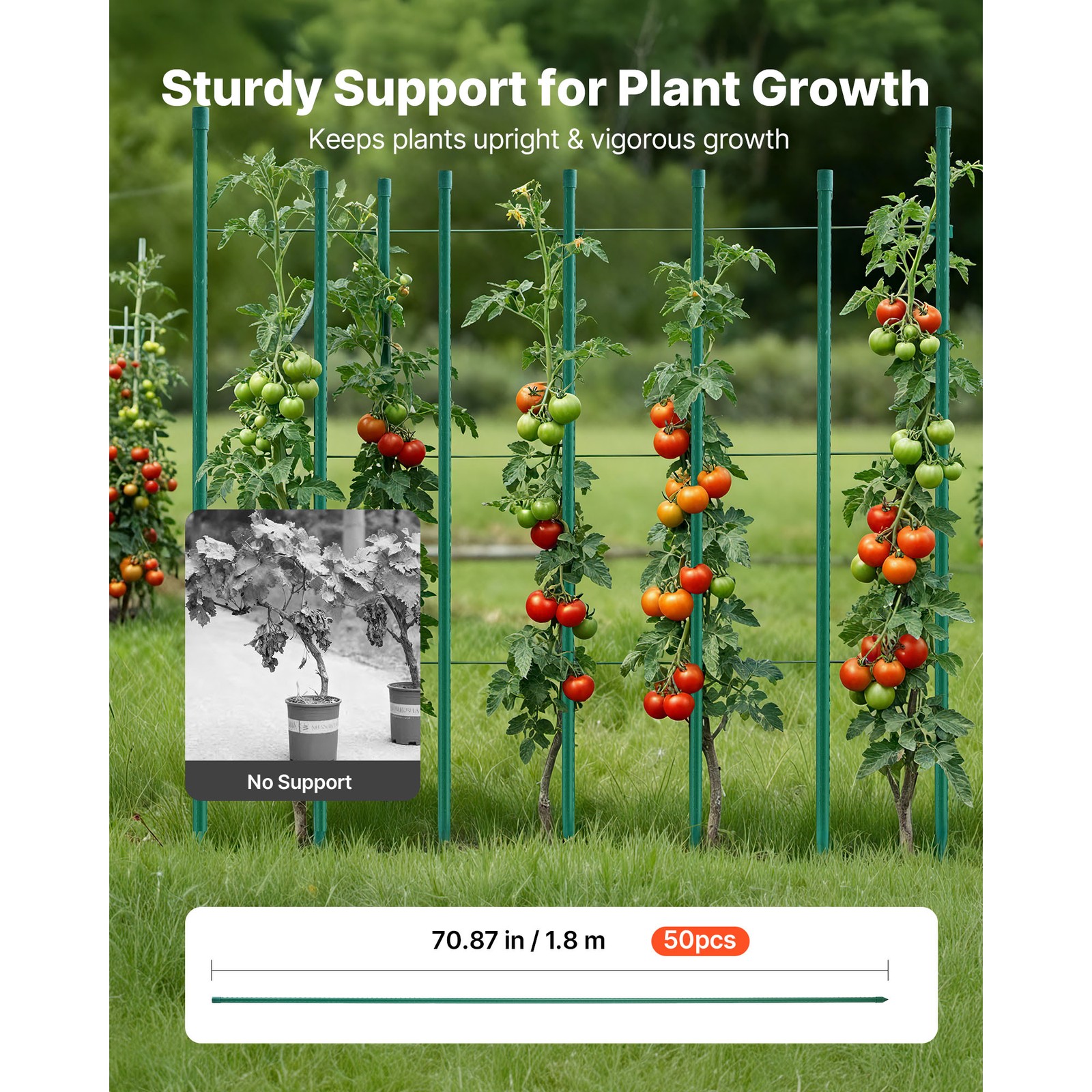 Uimoso Garden Stakes 50 Pack 70.87 inch Plastic Coated Metal Plant Supports