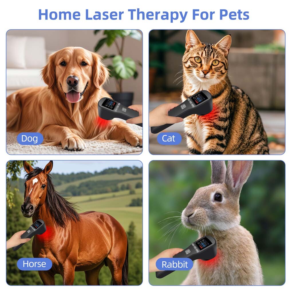 LLLT Cold Laser Therapy Device 650nm*16+808nm*4 for Fibromyalgia & Neuropathy