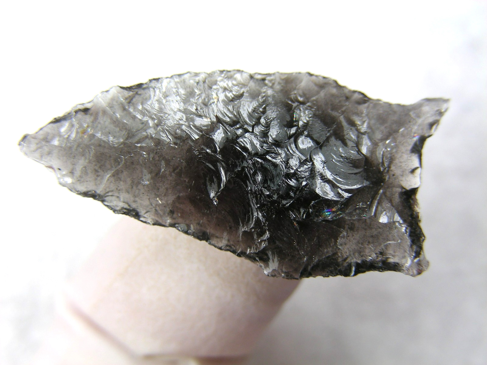 BUCHANAN EARED 1-1/4" NEVADA Authentic Indian Relics