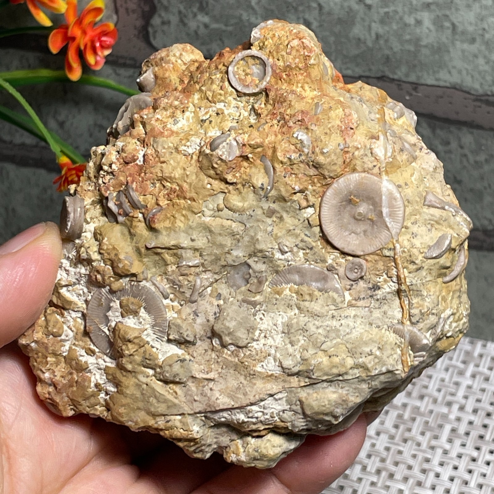 raw lily stone Madagascar - viewing Home decoration 367g A38