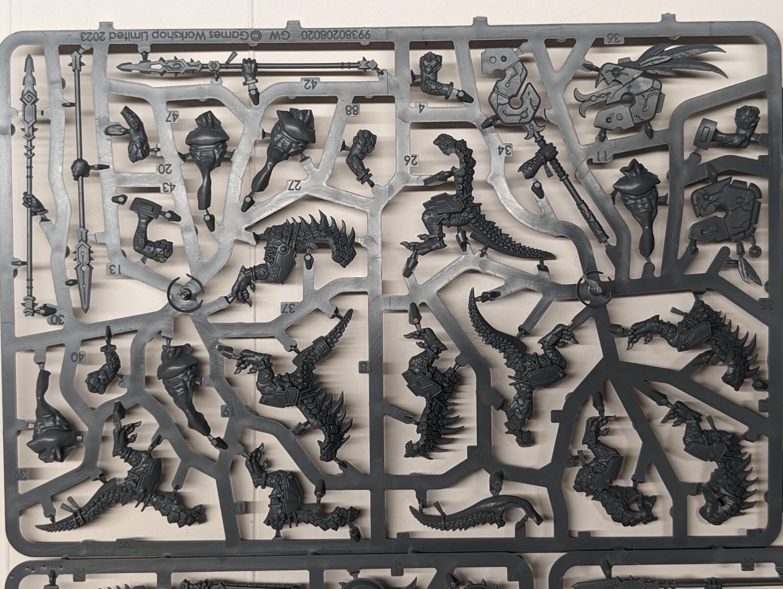 10x Saurus Warriors, Seraphon, New Sculpts, AOS, Warcry, GW