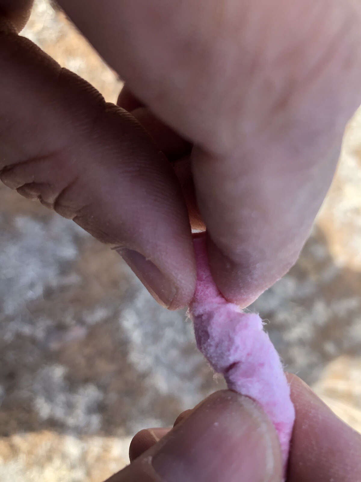 Fire Starters 50 Pack￼, Wind/Waterproof, Fire Starting Tinder, Veteran Owned,USA